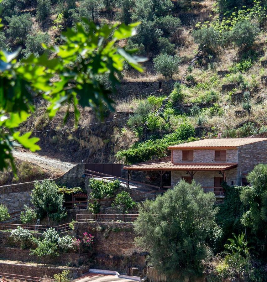 Casa Da Encosta Douro Valley 皮尼昂 外观 照片